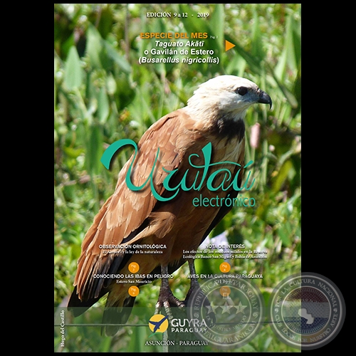 URUTAÚ ELECTRÓNICO Revista - EDICIÓN 9 a 12 - Año 2019